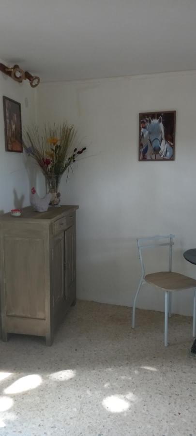Petite Maison Dans La Campagne A 10 Mn A Pied Du Centre Ville Arlés Exterior foto